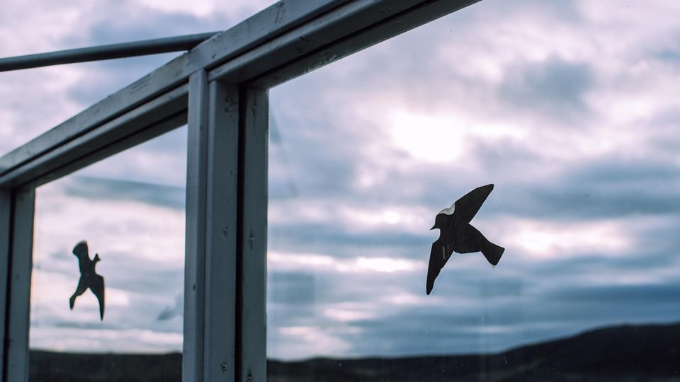 Fensteraufkleber zum Vogelschutz Fensteraufkleber zum Vogelschutz