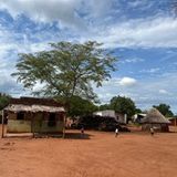 Zwischen Lehmhütten sind Baumstämme für die Holzkohleproduktion aufgestapelt