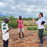 Ein Projektberater unterhält sich mit zwei Bauern auf einem Feld