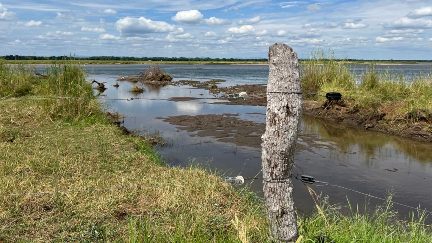 Zwei Elektrodrähte führen an einem Pfahl entlang. Der einfache Zaun steht am Sambesi-Fluss