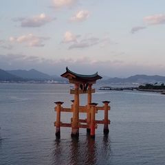 Glücksforschung: Ikigai: Wie uns die japanische Lebensweise im Alltag hilft