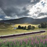 Außenansicht vom Royal Scotsman