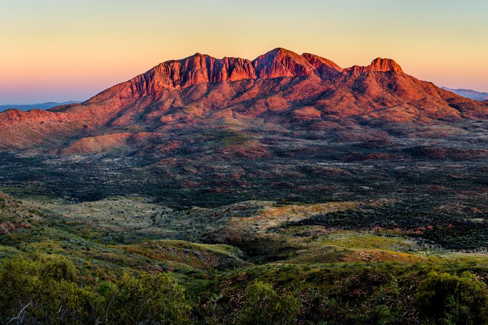 Australische Landschaft, im Vordergrund grün, am Horizont rote Berge im Sonnenuntergang 1.9033