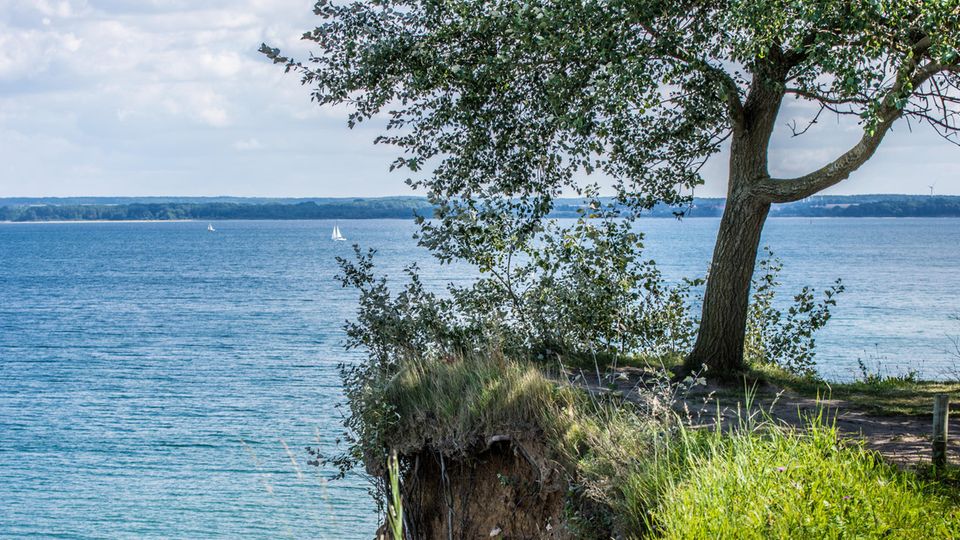 Italien lässt grüßen: Das Brodtener Ufer gilt als eine der schönsten Steilküsten Schleswig-Holsteins