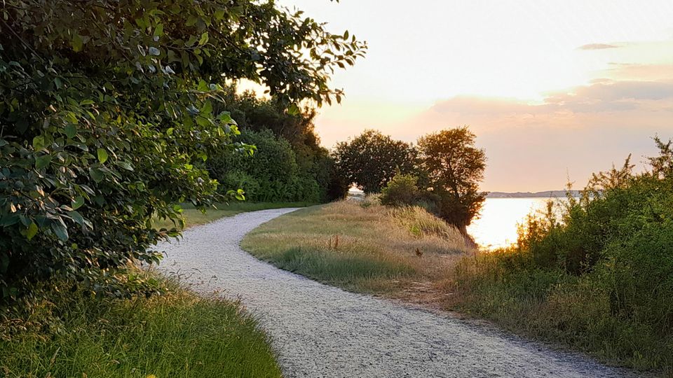Besonders am Abend ist der Wanderweg auf der Steilküste des Brodtener Ufers eine Oase der Ruhe