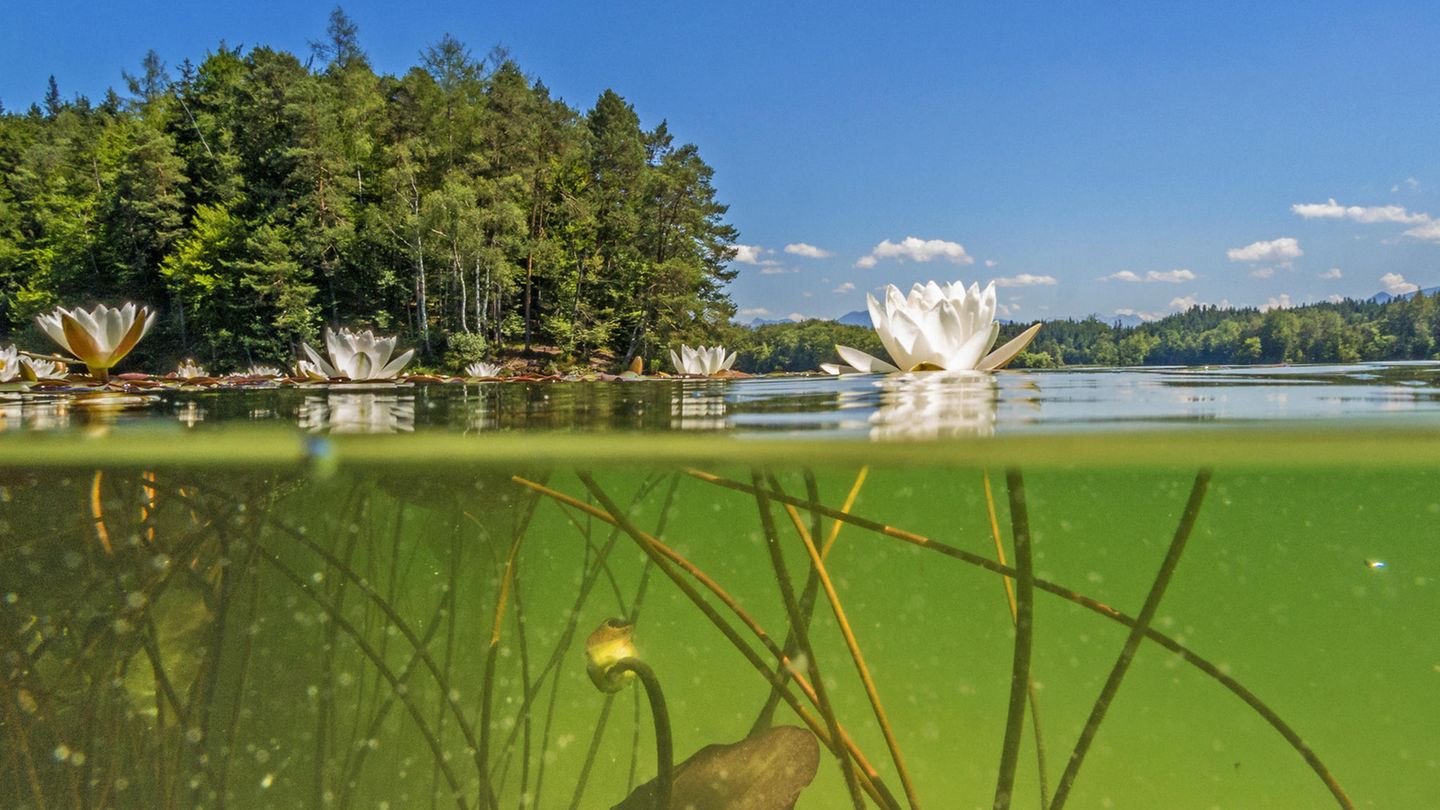 Das Oberflächenwasser der Seen in Deutschland erwärmt sich geringfügig schneller als die Luft. Mit möglicherweise fatalen Konsequenzen für die Ökosysteme