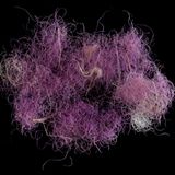 Violett eingefärbte Wolle