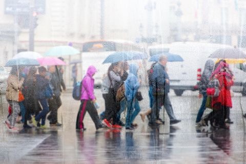 Menschen überqueren bei Regen die Straße