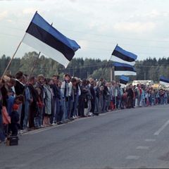 Demonstranten mit estnischen Flaggen