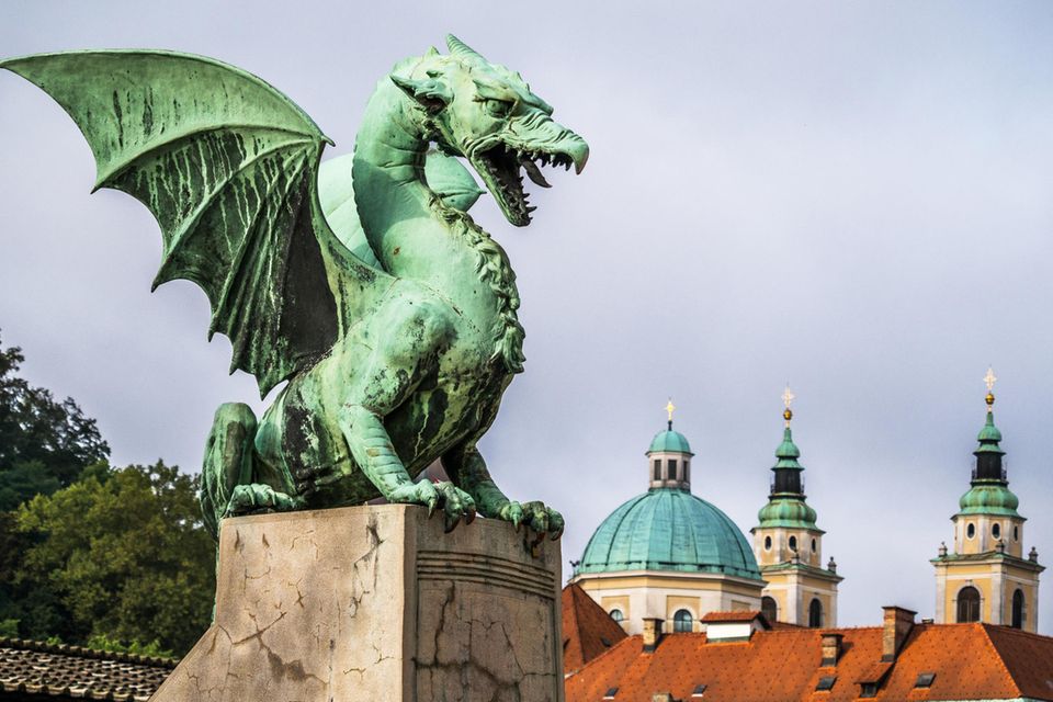 Drache 1.3316