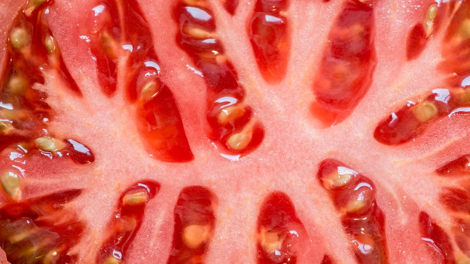 Tomatensamen gewinnen: Aufgeschnittenes Tomateninneres