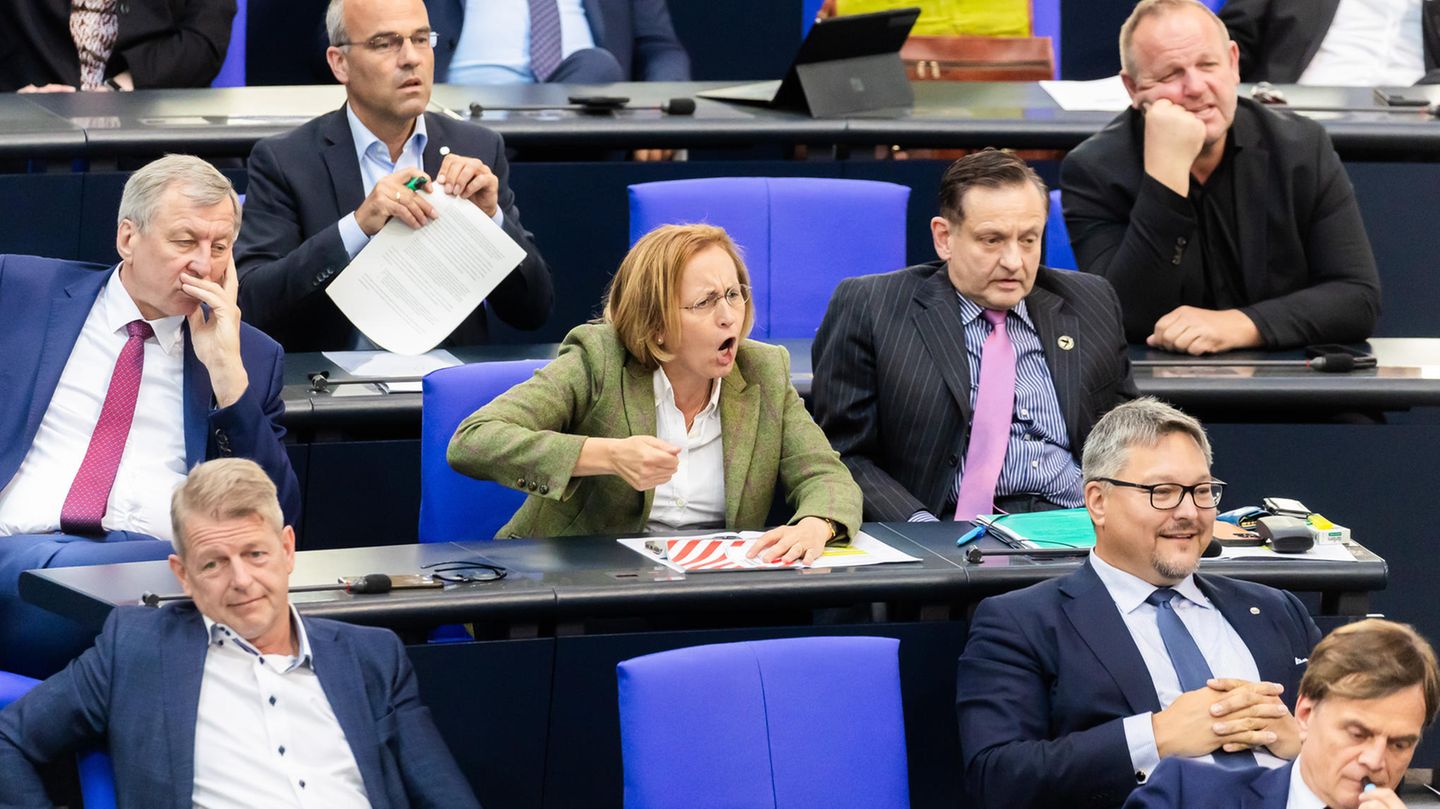 Politiker gestikulieren im Bundestag