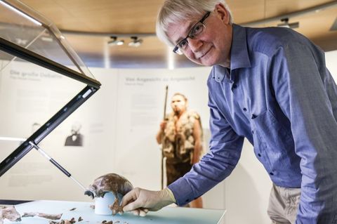 Ralf W. Schmitz hat sich sein ganzes Forscherleben mit dem Neandertaler beschäftigt