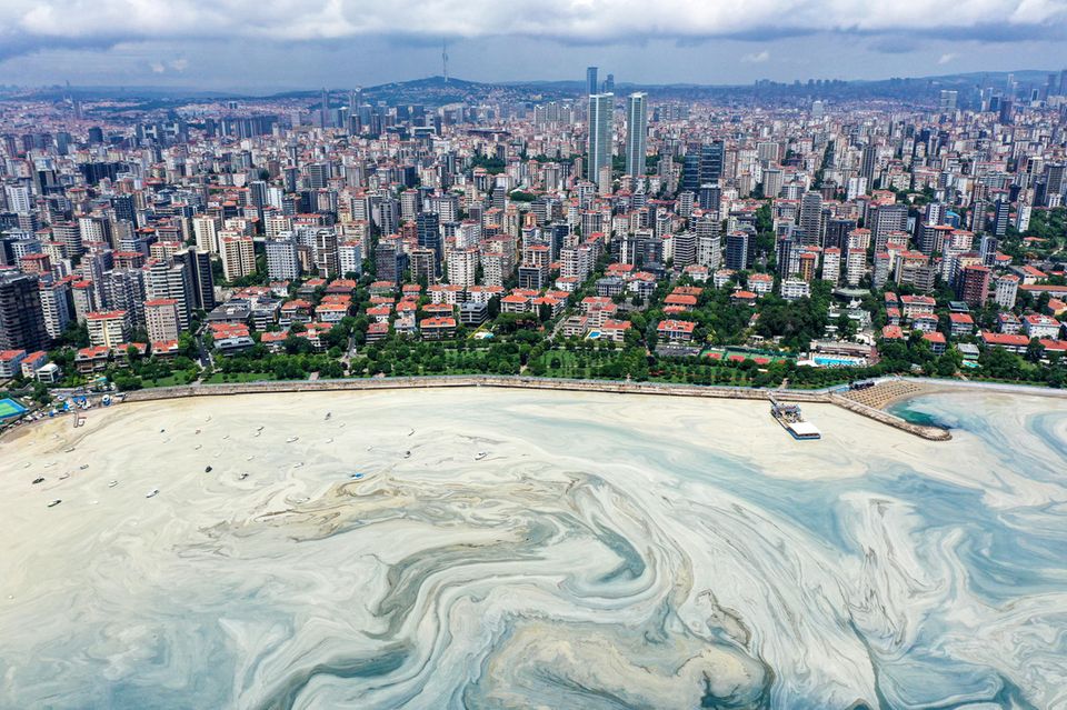 Türkei: Ein heller Schleimteppich sammelt an der Oberfläche des Marmarameeres an der Küste vor Istanbul 1.5004