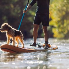 SUP mit Hund