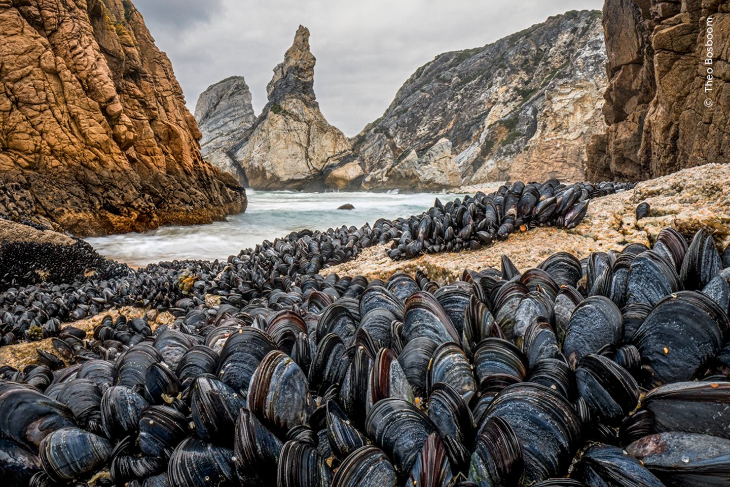 An der Küste Portugals: Fotograf Theo Bosboom zeigt mit dieser Aufnahme, die ihm mit einem Makro-Weitwinkelobjektiv gelang, wie sich Muscheln zusammenschließen, um in der Brandung zu bestehen.