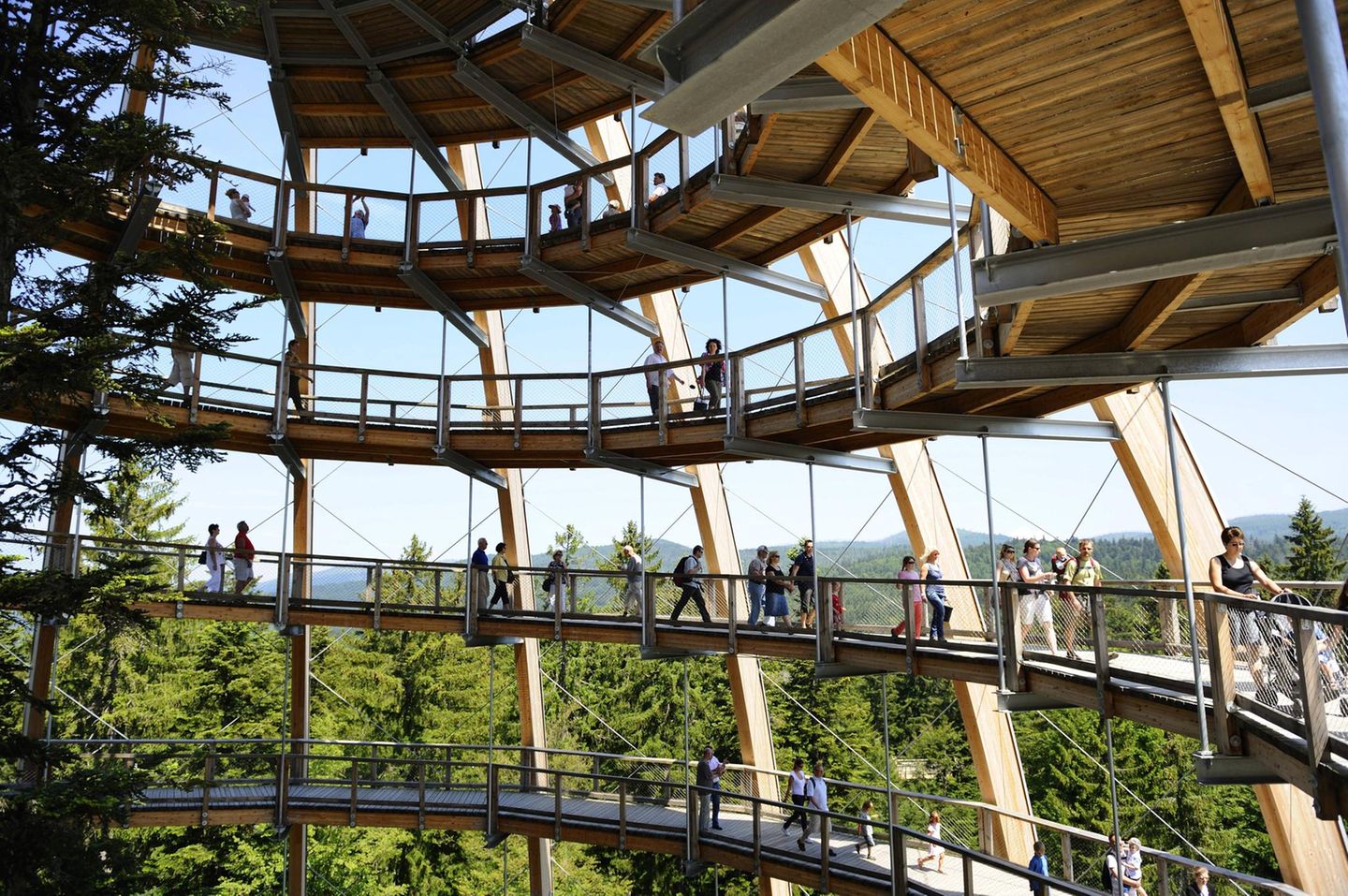 Längster Baumwipfelpfad: Baumwipfelpfad Neuschönau zahlreiche Besucher auf dem spiralfoermigen Weg des Aussichtsturms des Baumwipfelpfades im Nationalpark Bayerischer Wald, Deutschland, Bayern, Bayerischer Wald Nationalpark,