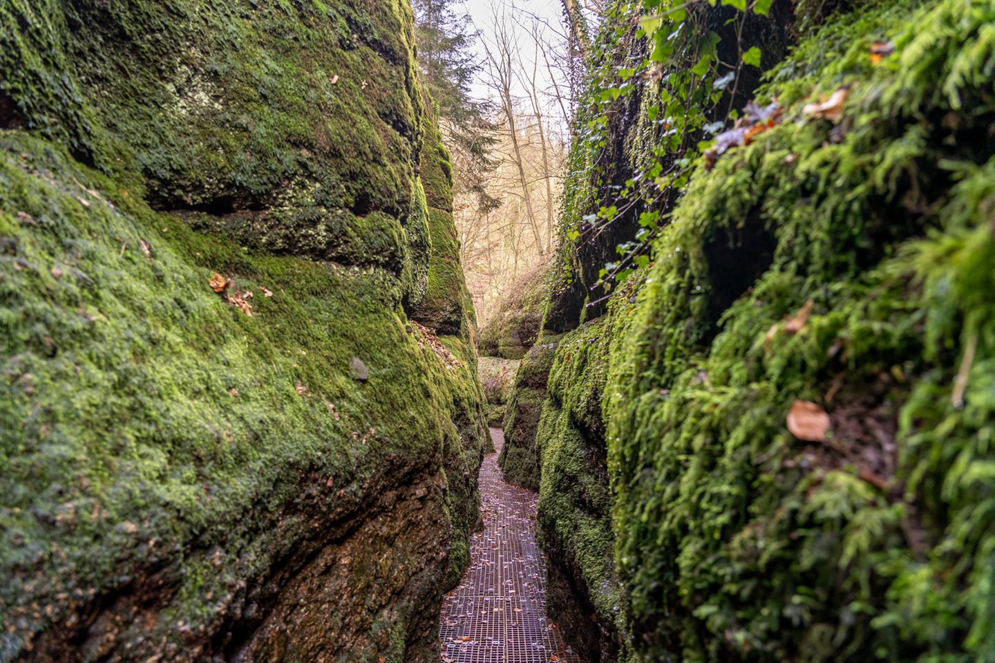 ein schmaler Pfad durch die Schluchten von die Drachenschlucht