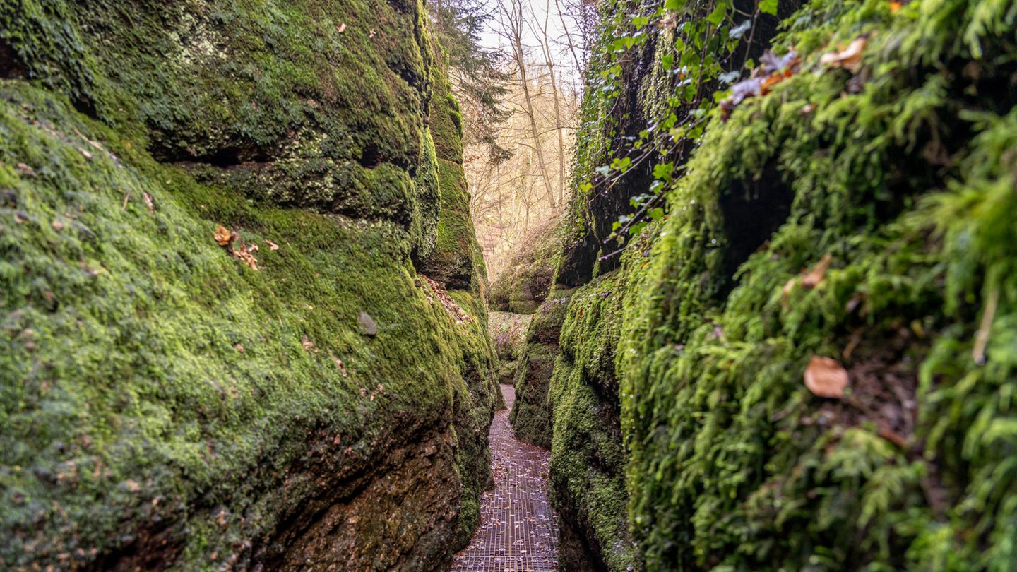 Drachenschlucht, Deutschland ein schmaler Pfad durch die Schluchten von die Drachenschlucht