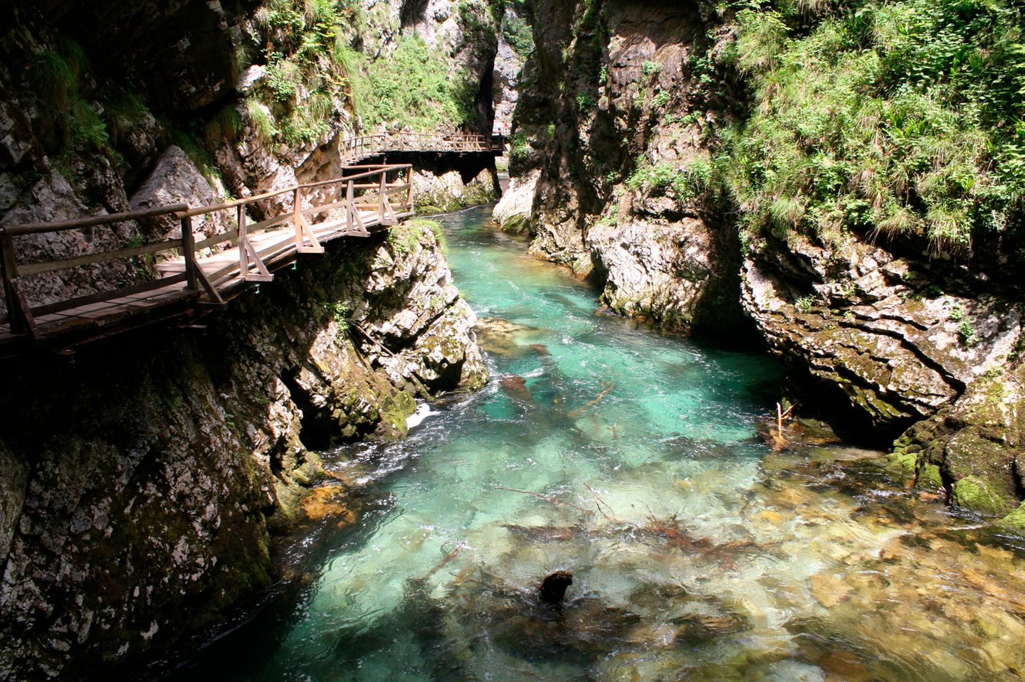 Der Fluss Radovna fließt im Winter durch die Schlucht Blejski Vintgar, Slowenien