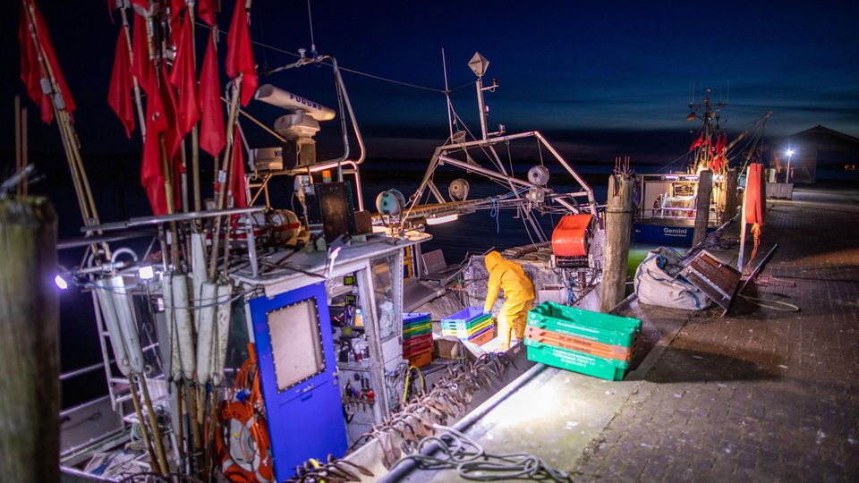 Fischer bereiten ihren Kutter "Seewolf" für eine Fangfahrt auf dem Greifswalder Bodden vor. Mit Stellnetzen werden Heringe gefangen. Die Fangquote ist ständig gesunken: Zwischen 2016 und 2021 von 220 auf acht Tonnen. Der Hering ist eins der Sorgenkinder in der Ostsee