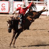 ein Mann auf einem Pferd, der extreme Tricks vorführt