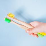 eine gelbe und eine grüne umweltfreundliche Zahnbürste in einer Hand