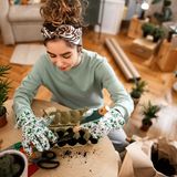 Eine Frau pflanzt in ihrem Wohnzimmer einen alten Eierpapierbehälter