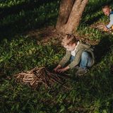 2 kleine Jungen sammeln Äste