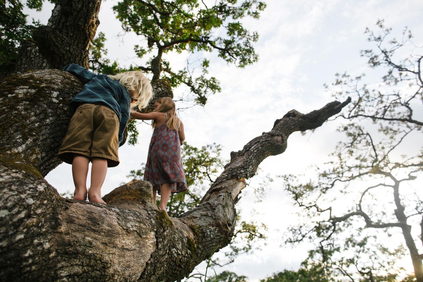 2 Kinder klettern auf einen Baum