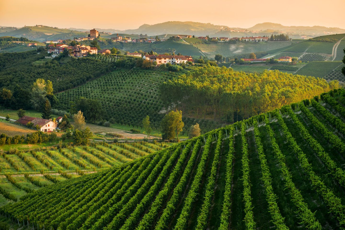 Panoramablick auf die Landschaft Langhe im Piemont