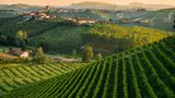 Panoramablick auf die Landschaft Langhe im Piemont