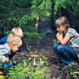 Kinder in der Natur betrachten einen wachsenden Pilz