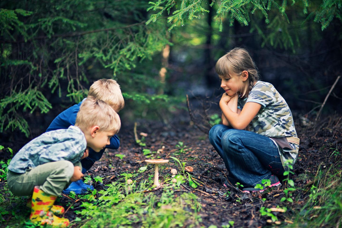 Kinder in der Natur betrachten einen wachsenden Pilz