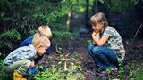 Angebote nutzen Kinder in der Natur betrachten einen wachsenden Pilz