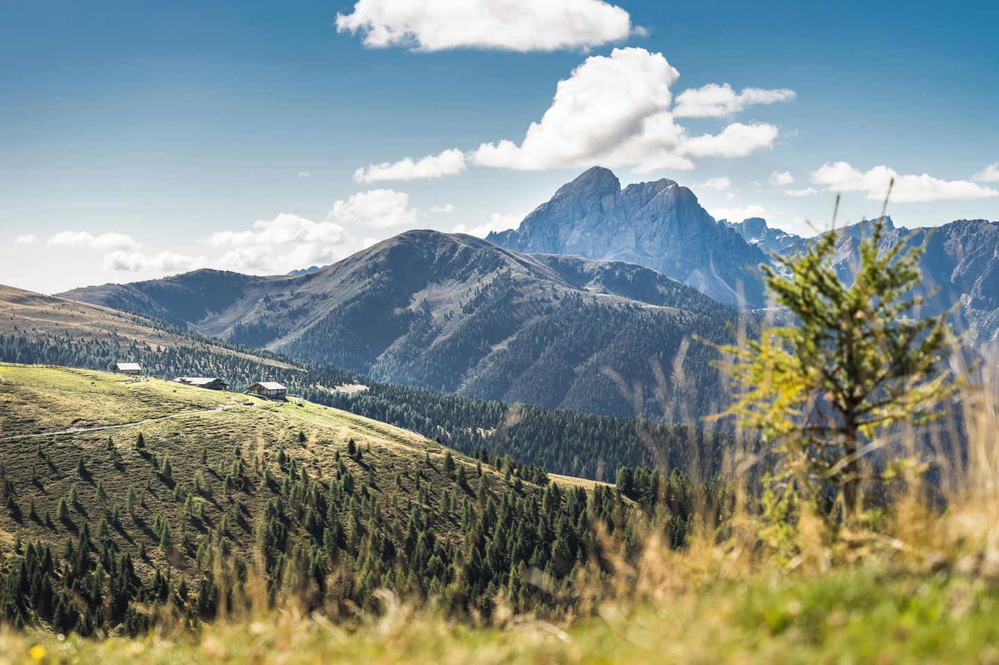 Campill, Mühlental Campill, Mühlental