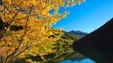 Durnholzer See im Herbst