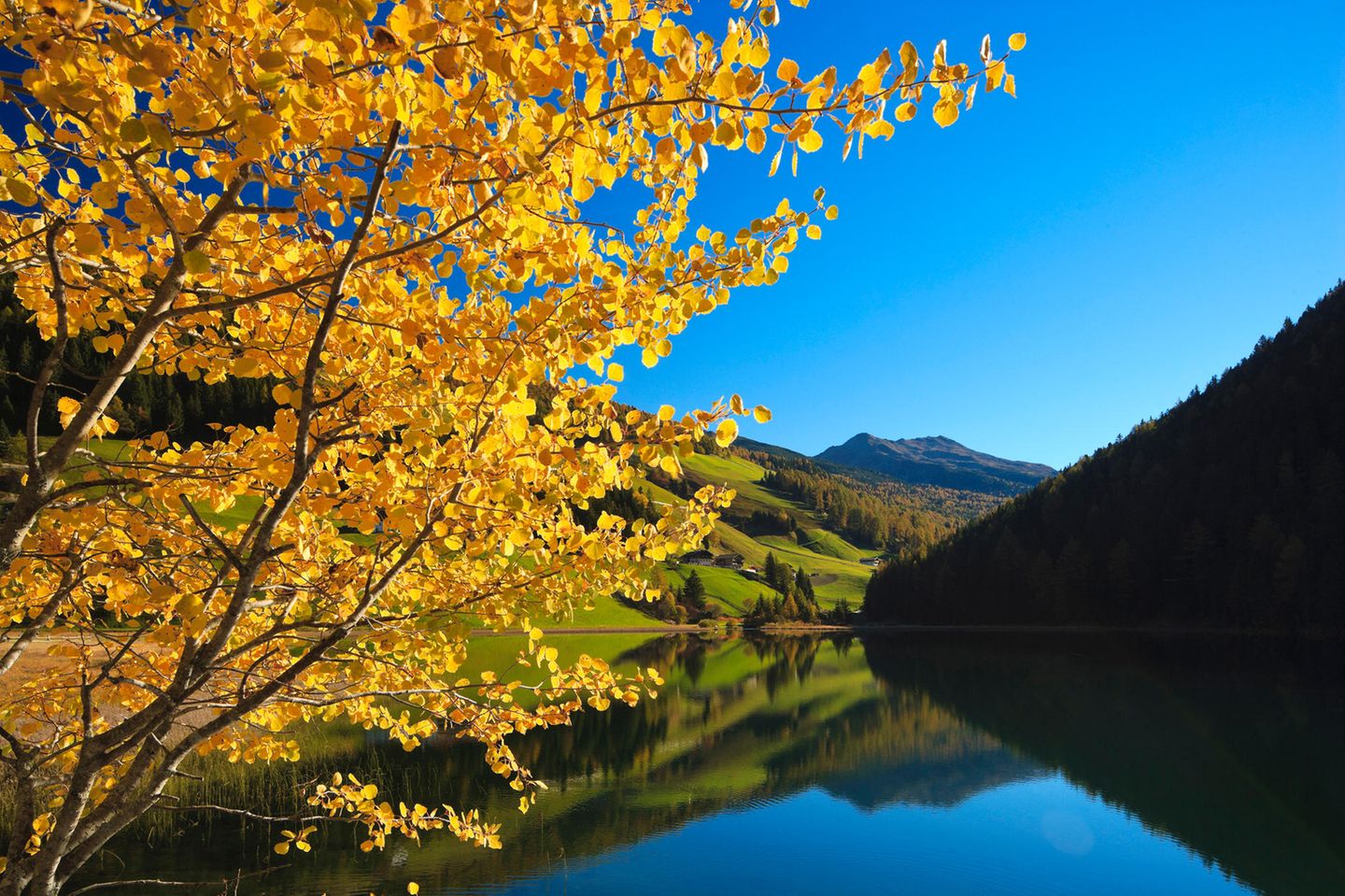 Durnholzer See Durnholzer See im Herbst