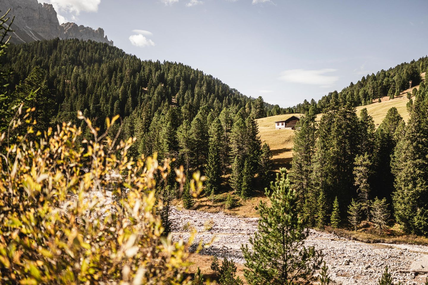 Zirbelkieferwald im Lüsner Tal