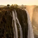 Elefant bei den Victoria-Wasserfällen