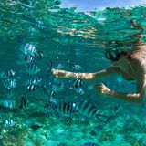 eine Frau schnorchelt mit vielen Fischen
