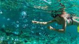 eine Frau schnorchelt mit vielen Fischen