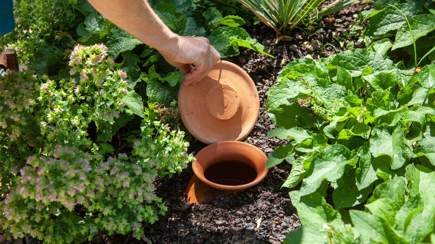 Tongefäße als Wasserspeicher: Wie Ollas funktionieren und warum man sie ganz einfach selber bauen kann