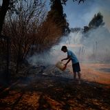 Es wirkt wie ein Tropfen auf den heißen Stein: Ein Mann versucht mit Wasser aus einem Eimer einen kleineren Brandherd in einem Waldgebiet in der Nähe von Brasília zu löschen. Währenddessen toben in weiten Teilen Brasiliens die schlimmsten Waldbrände seit Jahren