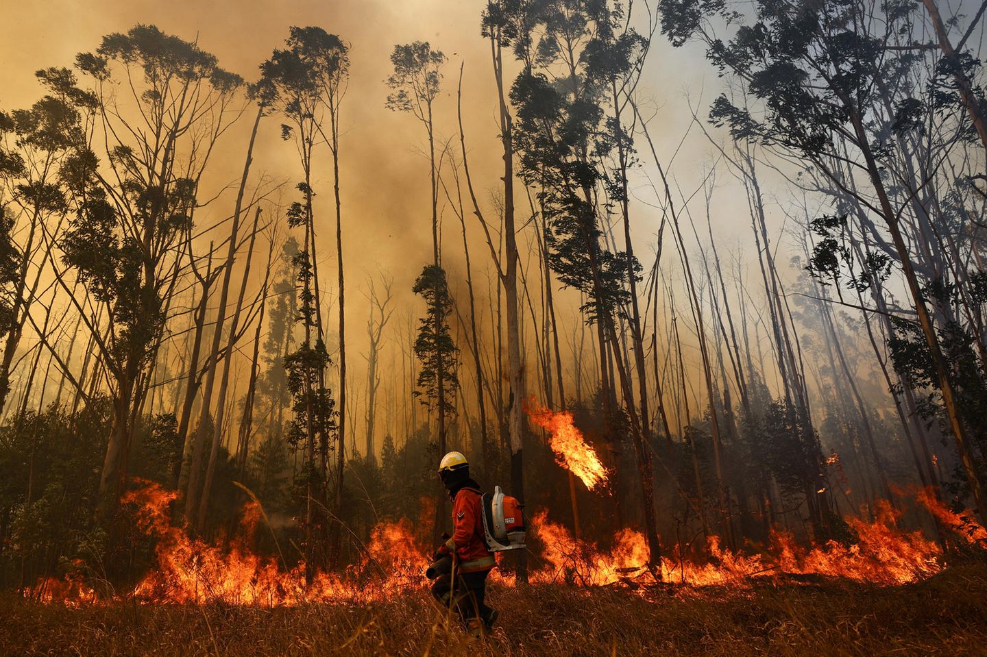 Ein Feuerwehrmann steht vor den Flammen, die bei einem großen Waldbrand im Nationalpark Brasília in Brasilien lodern. Das Land erlebt die schlimmste Dürre seit Beginn der landesweiten Aufzeichnungen – das erschwert die Löscharbeiten