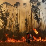 Ein Feuerwehrmann steht vor den Flammen, die bei einem großen Waldbrand im Nationalpark Brasília in Brasilien lodern. Das Land erlebt die schlimmste Dürre seit Beginn der landesweiten Aufzeichnungen – das erschwert die Löscharbeiten