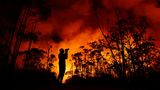 Ein Fotograf dokumentiert das Flammenmeer im Nationalpark Brasília, etwa 12 Kilometer nordwestlich der brasilianischen Hauptstadt. Große Teile des Waldes sind hier schon durch die Brände zerstört worden. Örtliche Behörden schließen Brandstiftung als Ursache nicht aus   