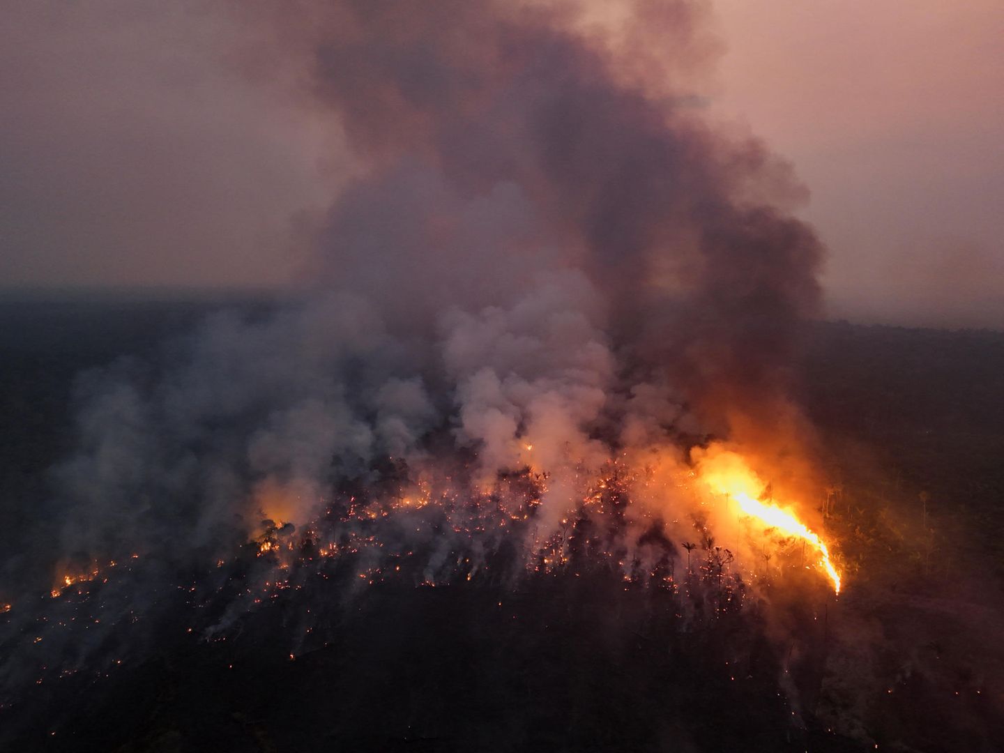 Besonders dramatisch sind die Waldbrände zurzeit im Amazonas-Regenwald, einem der letzten verbliebenen großen Urwälder der Erde. Er ist wichtig für das Klima, da er sehr große Mengen des Treibhausgases CO2 binden kann. Unzählige Brandherde haben hier bereits über 20 Prozent des Waldes zerstört