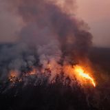 Besonders dramatisch sind die Waldbrände zurzeit im Amazonas-Regenwald, einem der letzten verbliebenen großen Urwälder der Erde. Er ist wichtig für das Klima, da er sehr große Mengen des Treibhausgases CO2 binden kann. Unzählige Brandherde haben hier bereits über 20 Prozent des Waldes zerstört