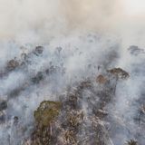 Im Jahr 2024 hat sich im Amazonasgebiet die Anzahl der Brände nach Angaben des National Institute for Space Research im Vergleich zum Vorjahr fast verdoppelt. Wie hier in Lábrea, im brasilianischen Bundesstaat Amazonas, bleibt am Ende nur Asche und Staub